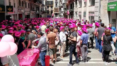 Fiesta del rosado de Navarra